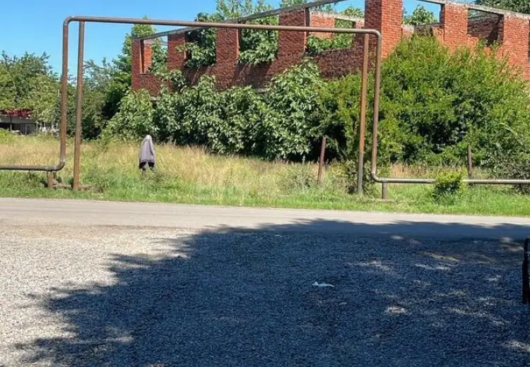 14 sot Torpaq Satılır, Masallı