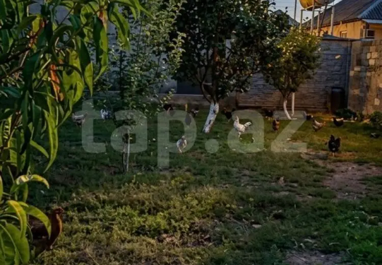 0 m² Obyekt / Ofis , Ağdaş