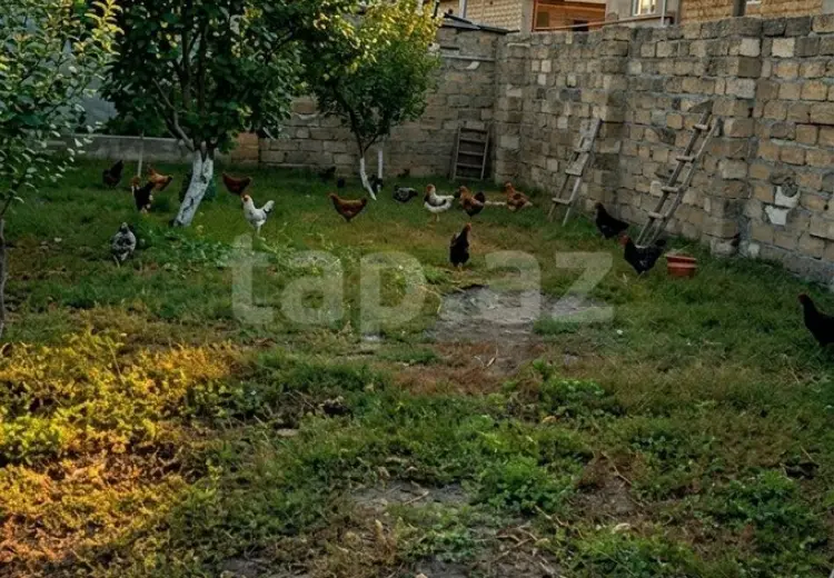 0 m² Obyekt / Ofis , Ağdaş