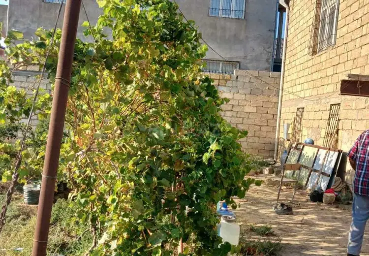 7 sot Torpaq Satılır, Lökbatan qəs., Qaradağ, Bakı