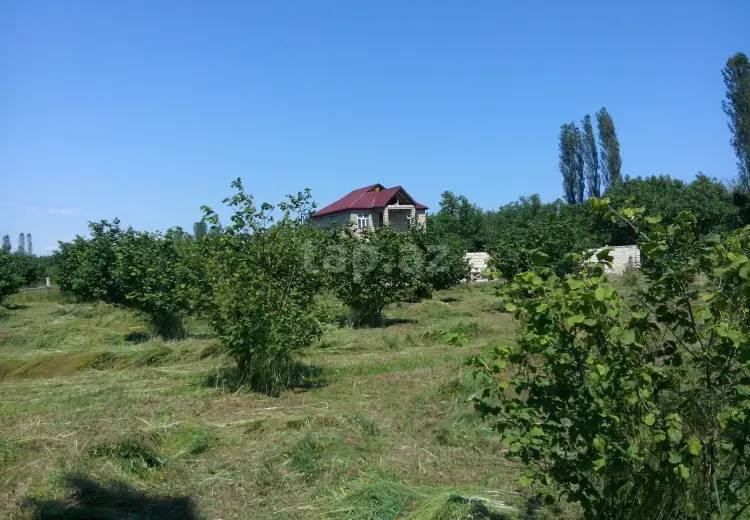 0 m² Obyekt / Ofis , Xaçmaz