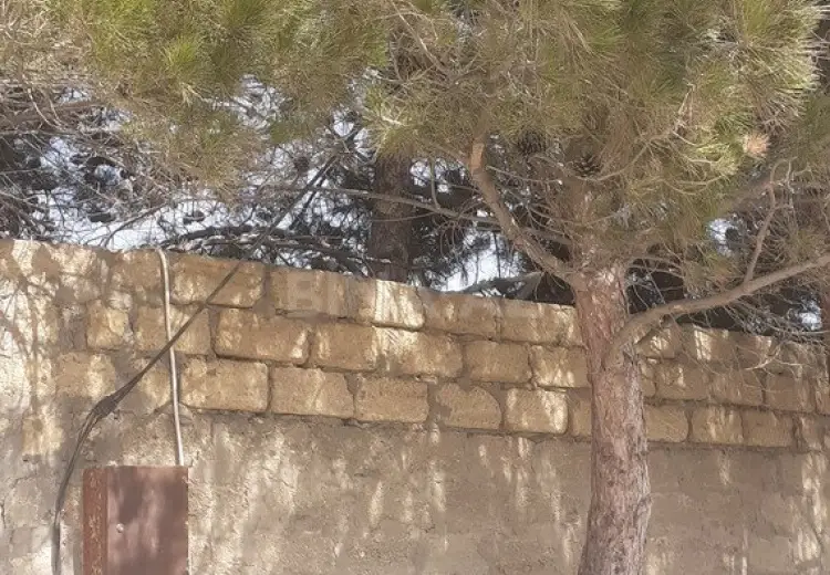 4 sot Torpaq Satılır, Pirşağı qəs., Sabunçu, Bakı