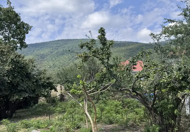 9.3 sot Torpaq Satılır, Oğuz