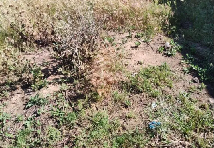 5 sot Torpaq Satılır, Mehdiabad, Abşeron