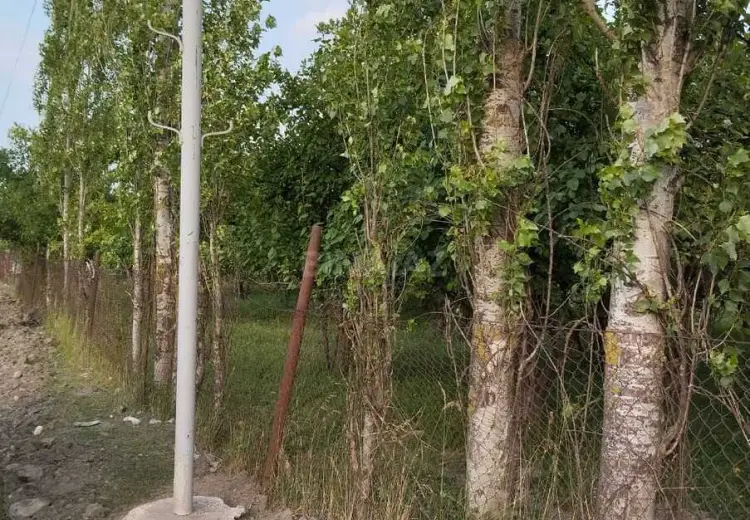 20 sot Torpaq Satılır, Quba