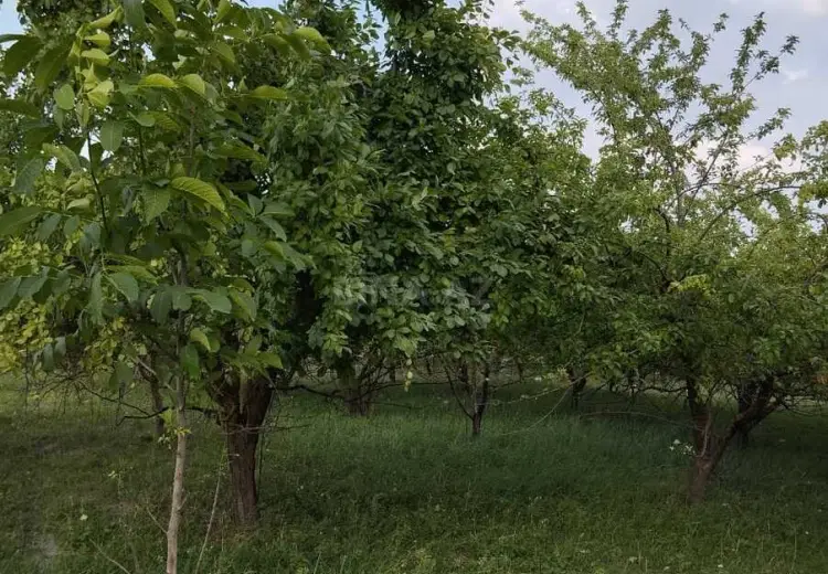 20 sot Torpaq Satılır, Quba
