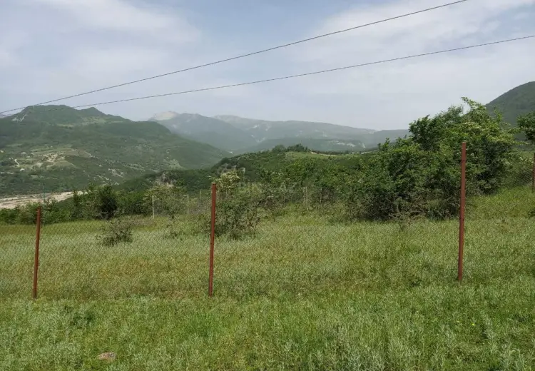 12 sot Torpaq Satılır, Şamaxı
