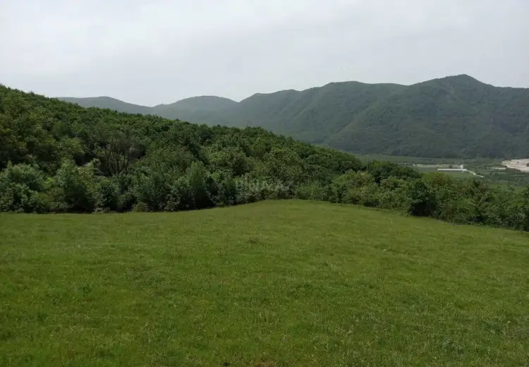 12 sot Torpaq Satılır, Şamaxı