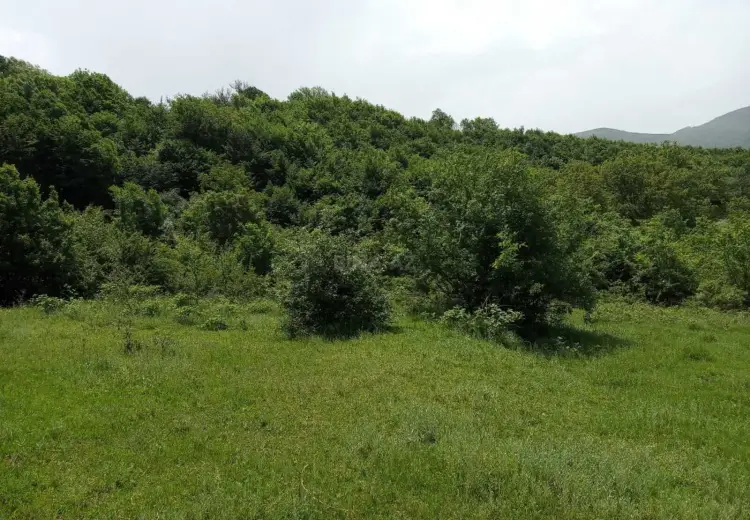 12 sot Torpaq Satılır, Şamaxı