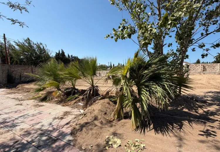 5 sot Torpaq Satılır, Nardaran qəs., Sabunçu, Bakı