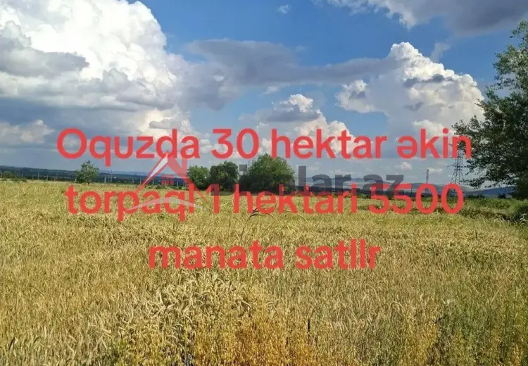 3000 sot Torpaq Satılır, Oğuz