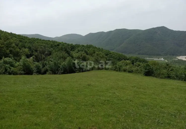0 m² Obyekt / Ofis , Şamaxı