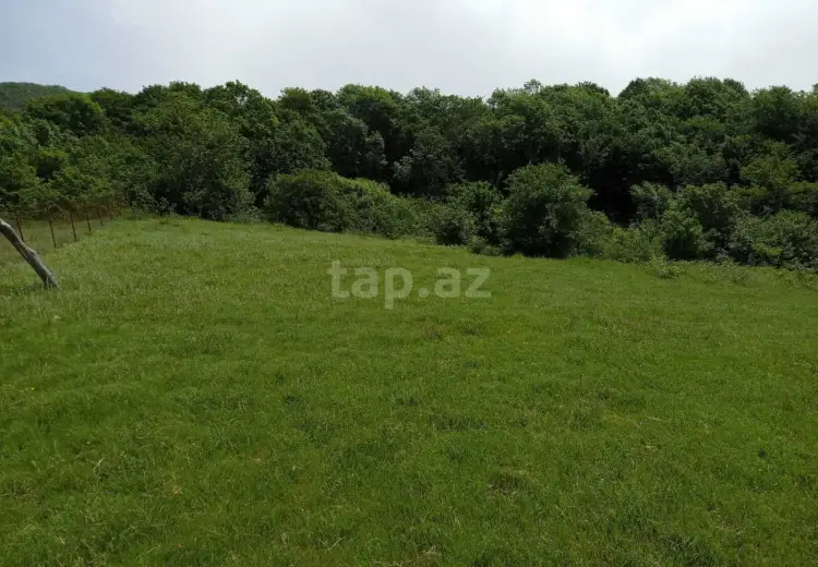 0 m² Obyekt / Ofis , Şamaxı