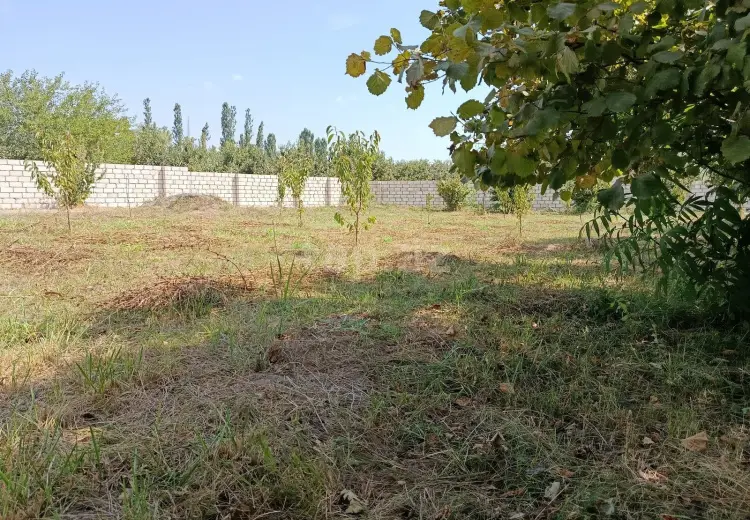 0 m² Obyekt / Ofis , Xaçmaz