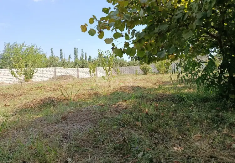0 m² Obyekt / Ofis , Xaçmaz