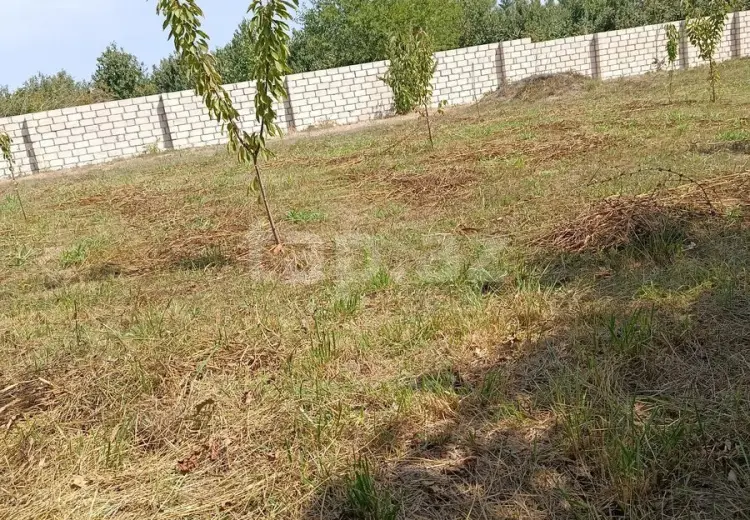 0 m² Obyekt / Ofis , Xaçmaz