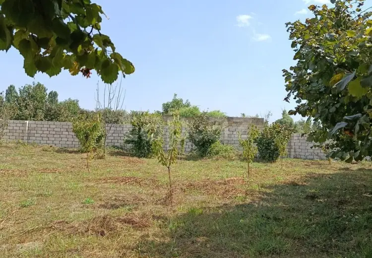 0 m² Obyekt / Ofis , Xaçmaz