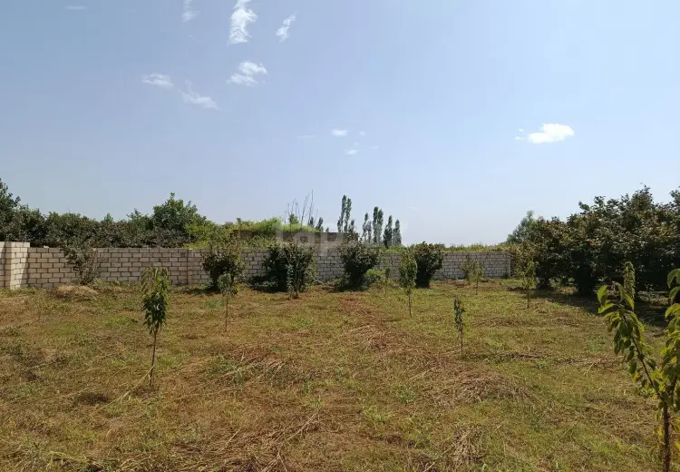 0 m² Obyekt / Ofis , Xaçmaz