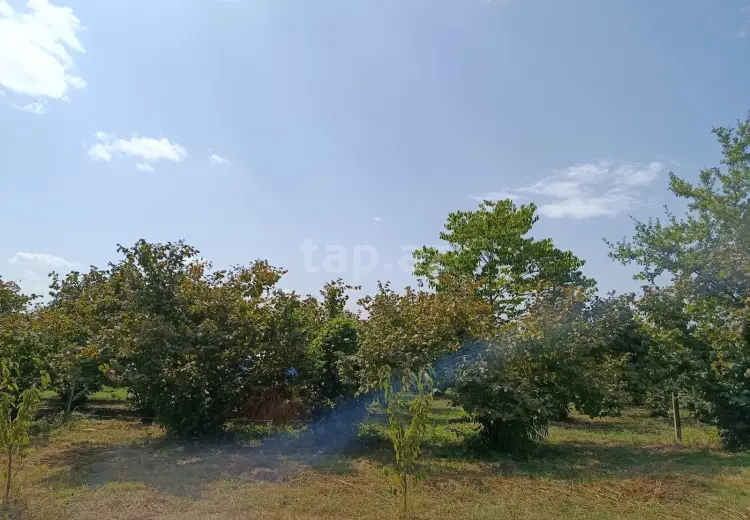 0 m² Obyekt / Ofis , Xaçmaz