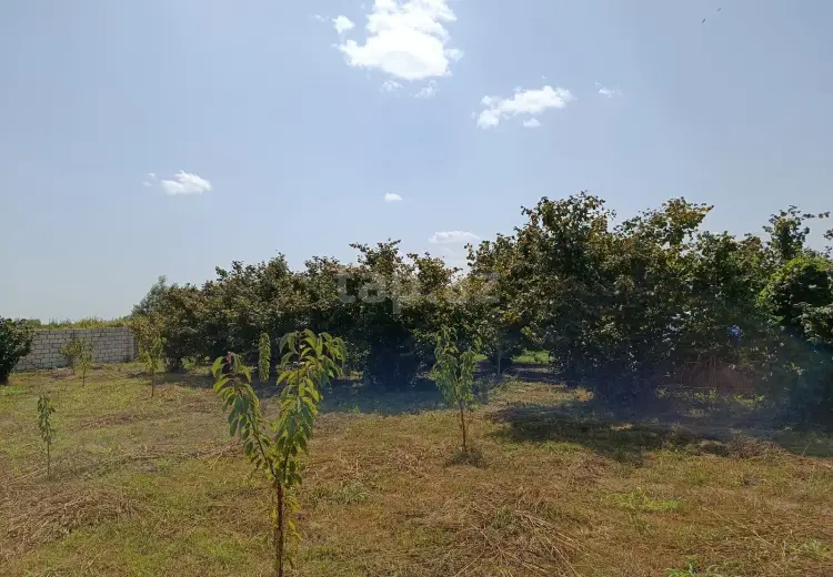 0 m² Obyekt / Ofis , Xaçmaz