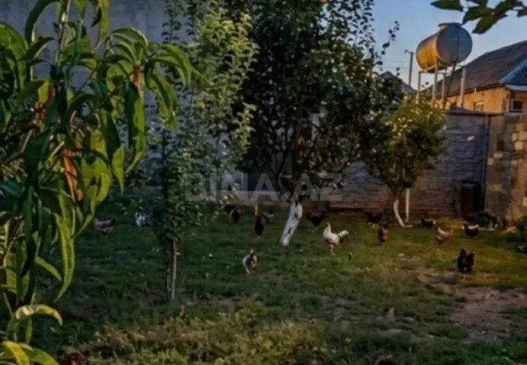 5 sot Torpaq Satılır, Ağdaş