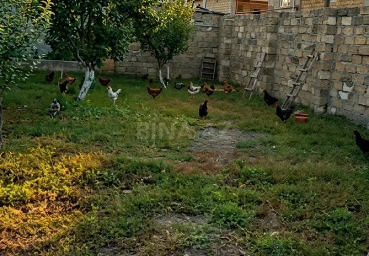 5 sot Torpaq Satılır, Ağdaş