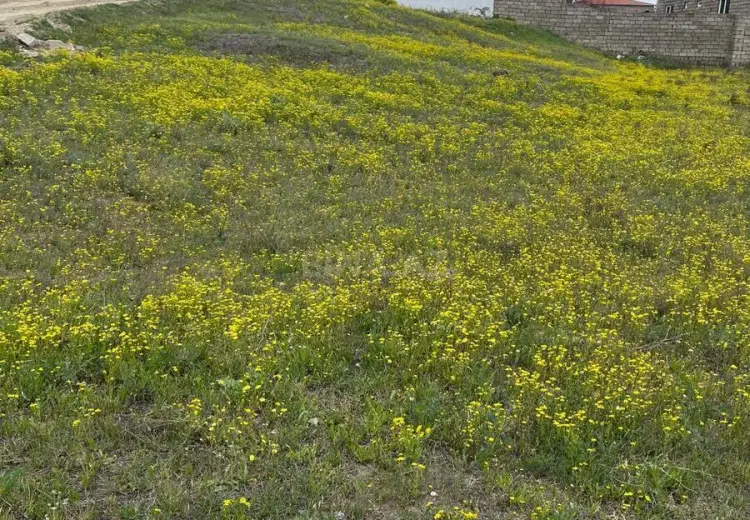 10 sot Torpaq Satılır, Dübəndi, Xəzər, Bakı