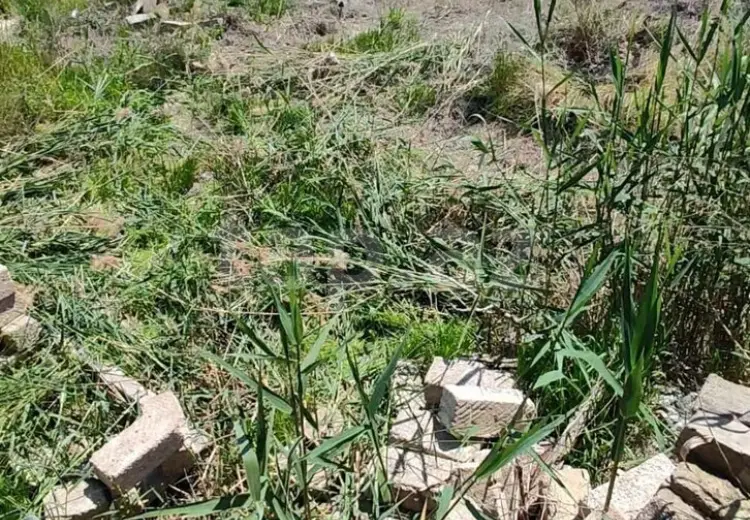 0 m² Obyekt / Ofis , Bakı