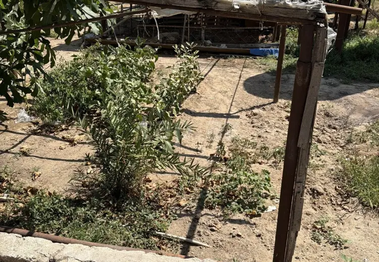 0 m² Obyekt / Ofis , Xəzər, Bakı