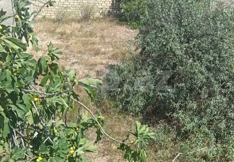 0 m² Obyekt / Ofis , Novxanı, Abşeron