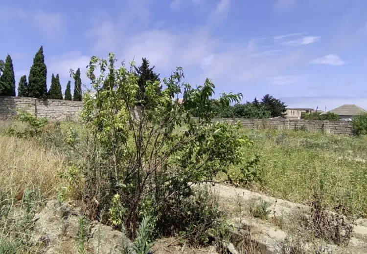 25 sot Torpaq Satılır, Sabunçu, Bakı