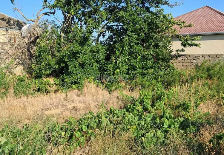 4 sot Torpaq Satılır, Sabunçu, Bakı