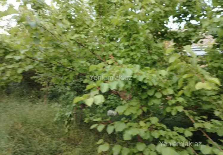 20 sot Torpaq Satılır, Yaşıl dərə, Sumqayıt
