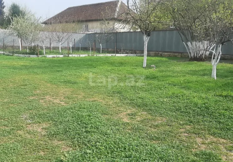 0 m² Obyekt / Ofis , Masallı
