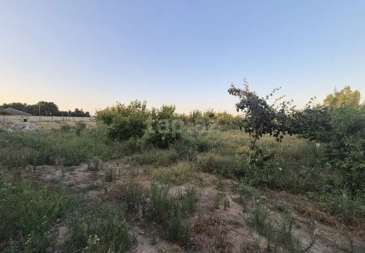 0 m² Obyekt / Ofis , Bilgəh qəs., Sabunçu, Bakı