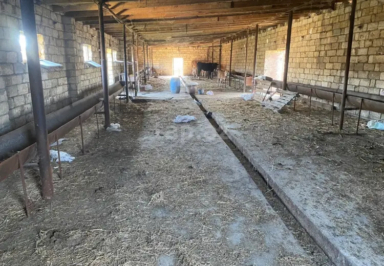 0 m² Obyekt / Ofis , Saray, Abşeron