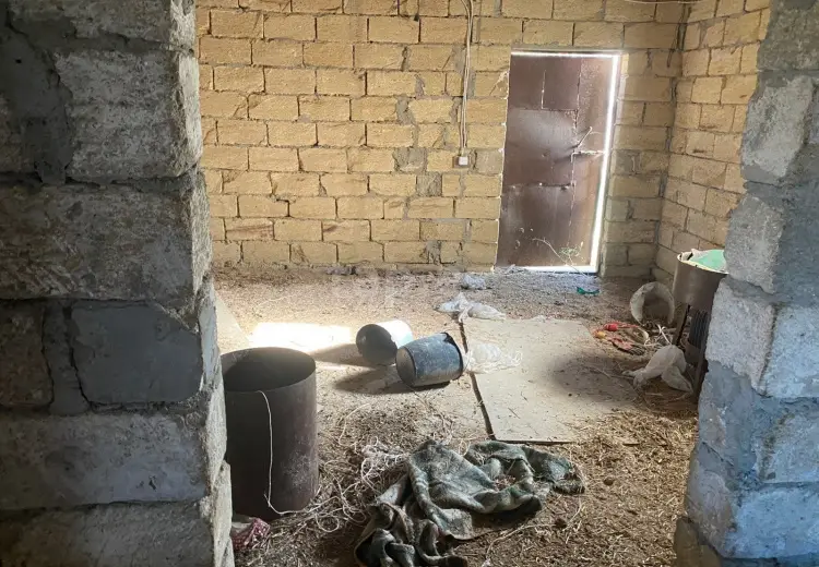 0 m² Obyekt / Ofis , Saray, Abşeron