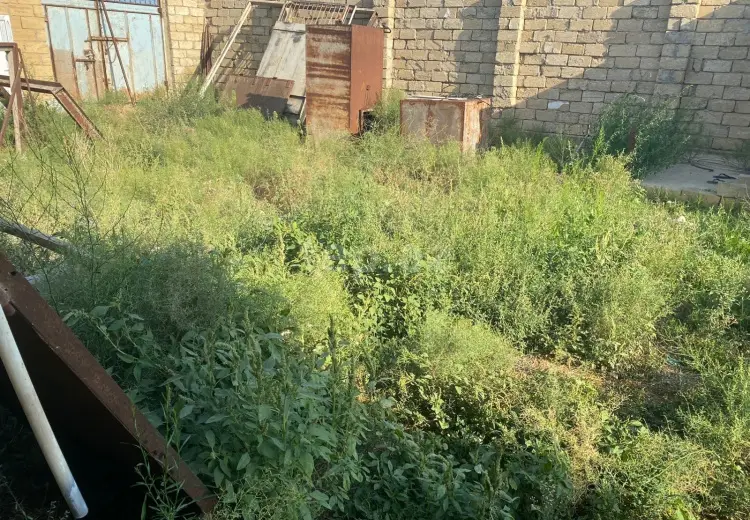 0 m² Obyekt / Ofis , Saray, Abşeron