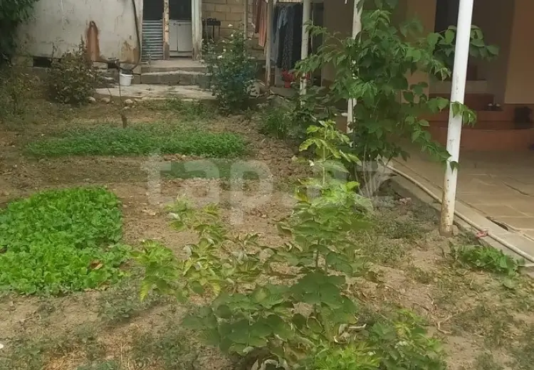 8 otaqlı mənzil , Şamaxı