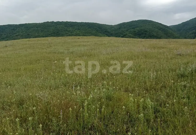 0 m² Obyekt / Ofis , Şamaxı