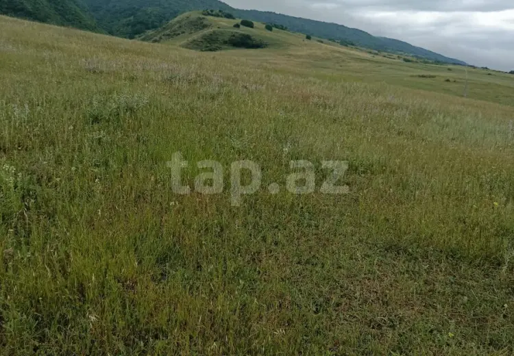 0 m² Obyekt / Ofis , Şamaxı