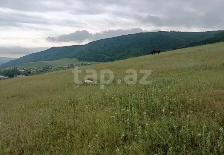 0 m² Obyekt / Ofis , Şamaxı