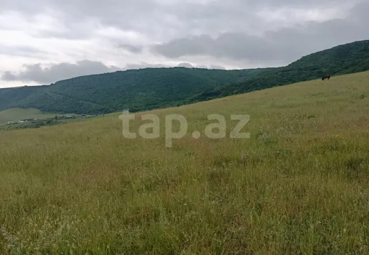0 m² Obyekt / Ofis , Şamaxı