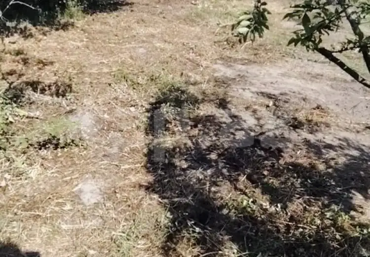 0 m² Obyekt / Ofis , Xaçmaz
