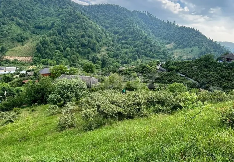 0 m² Obyekt / Ofis , Astara