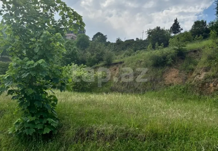 0 m² Obyekt / Ofis , Astara