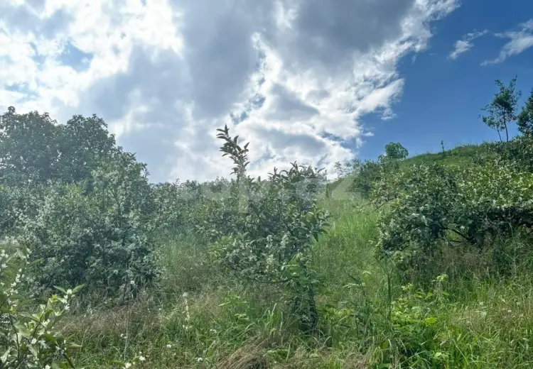 0 m² Obyekt / Ofis , Astara