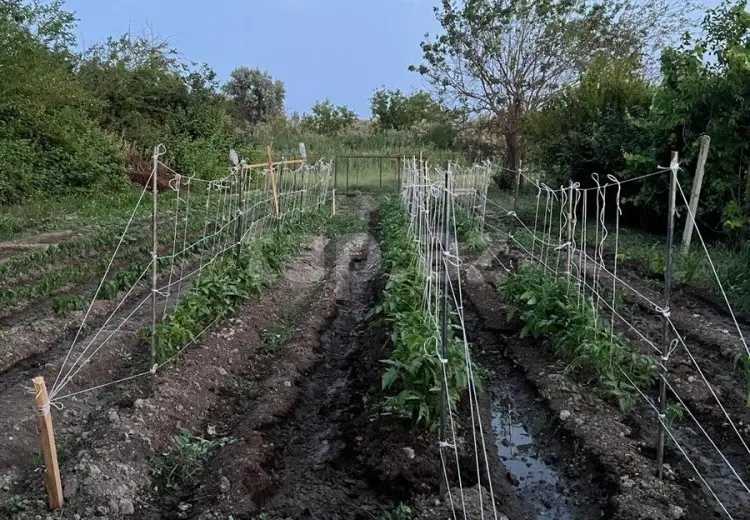 3 otaqlı mənzil , Salyan