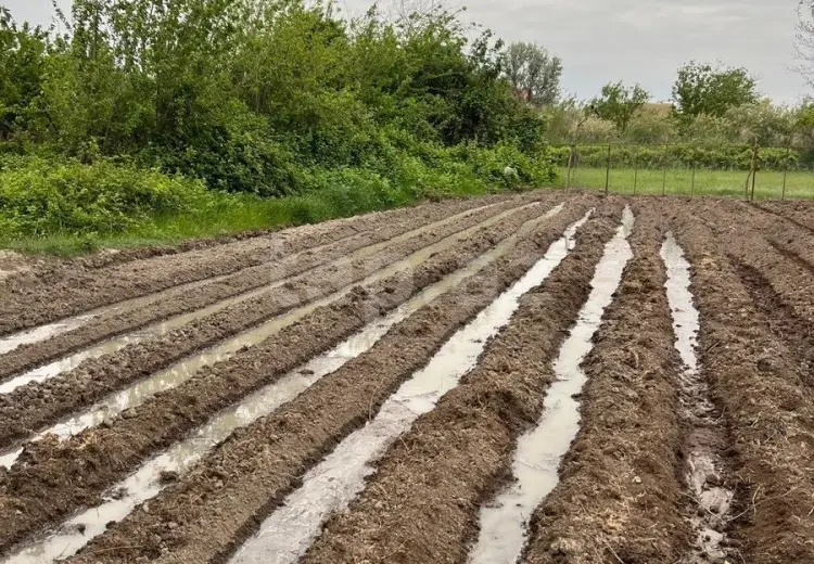 3 otaqlı mənzil , Salyan
