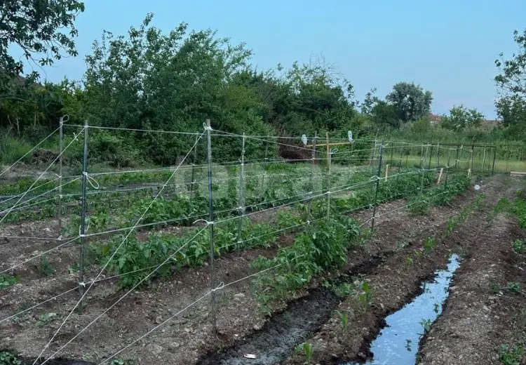 3 otaqlı mənzil , Salyan